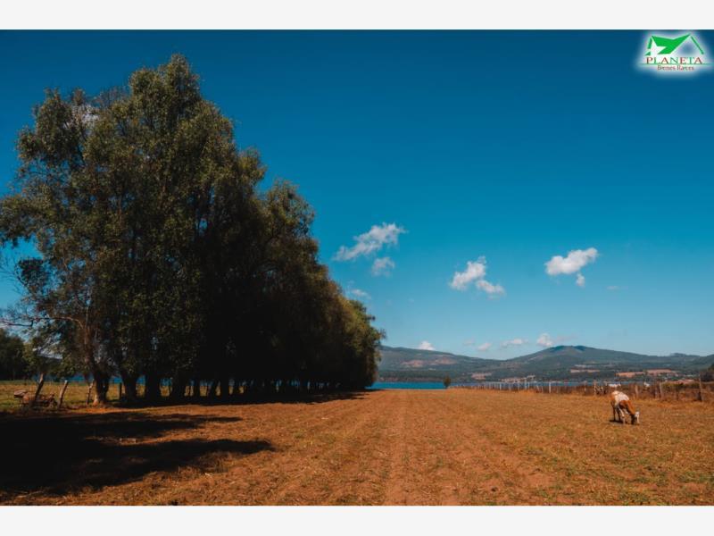 Terreno en venta en Zirahuén, Salvador Escalante, Michoacán de Ocampo 3