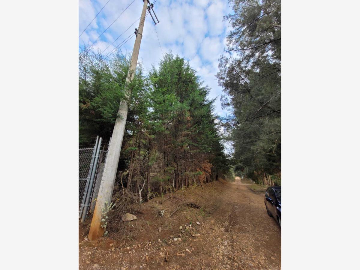 Terreno en venta en Pontezuelas, Charo, Michoacán de Ocampo 2