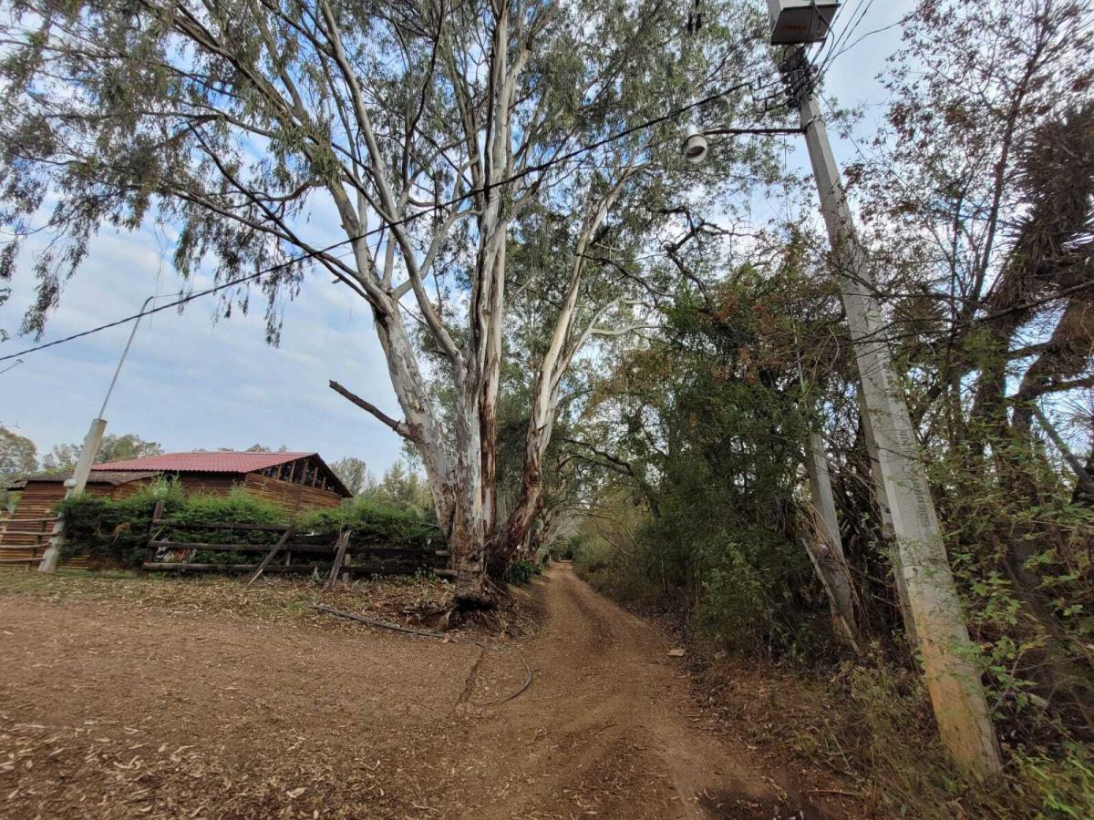 Terreno en venta en Pontezuelas, Charo, Michoacán de Ocampo 4