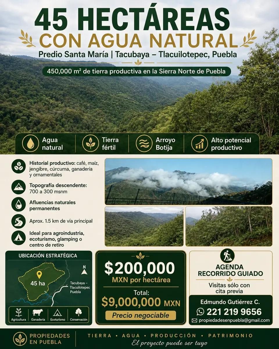 45 HECTÁREAS CON AGUA NATURAL Y POTENCIAL DE ALTO VALOR EN LA SIERRA NORTE DE PUEBLA 1